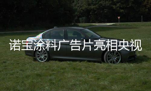 諾寶涂料廣告片亮相央視 樹立全新發展里程碑