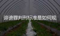 誹謗罪判刑標準是如何規定的（誹謗罪判刑）
