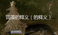 詞藻的釋義（的釋義）