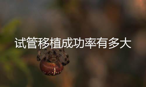 試管移植成功率有多大