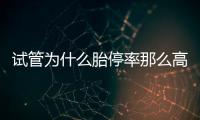 試管為什么胎停率那么高（詳細討論試管嬰兒的胚胎發育問題）