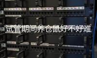 試管期間養倉鼠好不好難說！先了解下對胎兒影響再決定