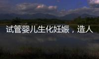 試管嬰兒生化妊娠，造人之路的隱形“滅霸”