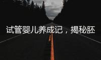 試管嬰兒養成記，揭秘胚胎培養的全過程！