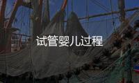 試管嬰兒過程