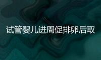 試管嬰兒進周促排卵后取多少卵泡是比較合適的？