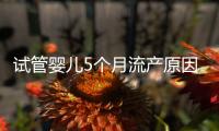 試管嬰兒5個月流產原因有三，多久能再次移植需慎重考慮