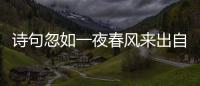 詩句忽如一夜春風來出自什么詩 忽如一夜春風來出自什么詩