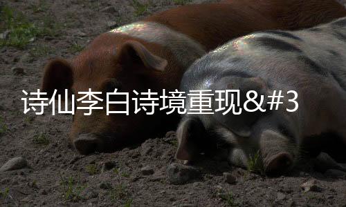 詩仙李白詩境重現 邀您共賞“黃河之水天上來”丨我和黃河的故事