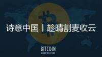 詩意中國丨趁晴割麥?zhǔn)赵泣S