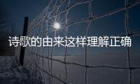 詩歌的由來這樣理解正確嗎?