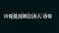 詩骨是指哪位詩人 詩骨是哪位詩人