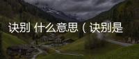 訣別 什么意思（訣別是什么意思）