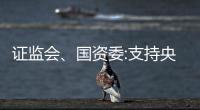 證監會、國資委:支持央企開展基礎設施REITs試點