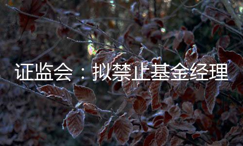 證監會：擬禁止基金經理買賣股指期貨