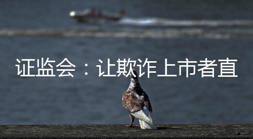 證監(jiān)會：讓欺詐上市者直接退市