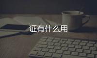 證有什么用