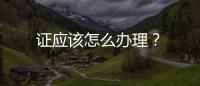 證應(yīng)該怎么辦理？
