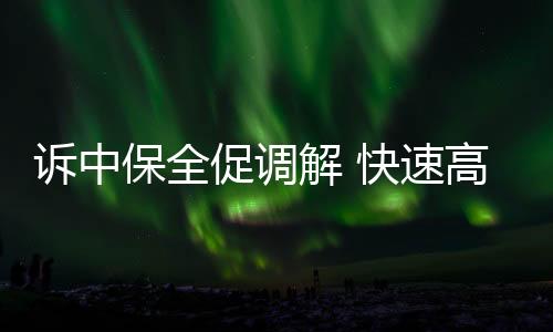 訴中保全促調解 快速高效解糾紛
