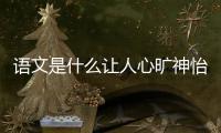 語(yǔ)文是什么讓人心曠神怡（語(yǔ)文是）