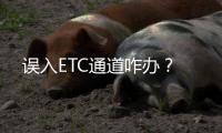 誤入ETC通道咋辦？