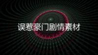 誤惹豪門劇情素材