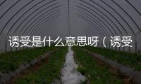 誘受是什么意思呀（誘受是什么意思）