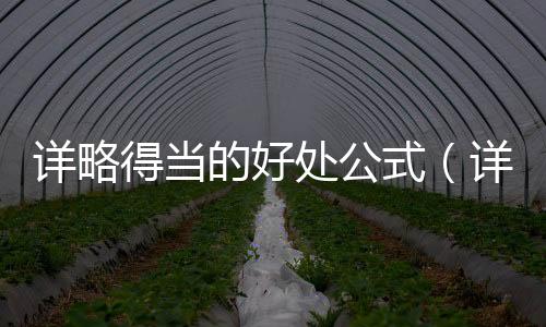 詳略得當的好處公式（詳略得當的好處）