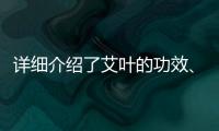 詳細介紹了艾葉的功效、作用和食用方法