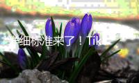 詳細(xì)標(biāo)準(zhǔn)來了！TikTok Shop西、德、意、法跨境POP（自運(yùn)營）入駐標(biāo)準(zhǔn)更新
