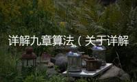 詳解九章算法（關于詳解九章算法的基本情況說明介紹）