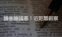 誰(shuí)衝誰(shuí)國(guó)蔥！近距離觀察「青鳥(niǎo)行動(dòng)」，與百合花、太陽(yáng)花有什麼不同？