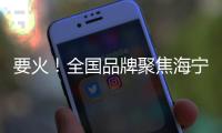 要火！全國品牌聚焦海寧！