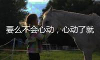 要么不會心動，心動了就是一輩子的星座