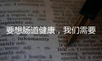 要想腸道健康，我們需要做哪些事？