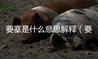 要塞是什么意思解釋（要塞是什么意思）