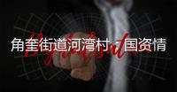角奎街道河灣村：國資情懷 潤澤山鄉