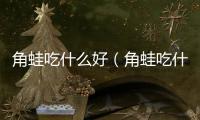 角蛙吃什么好（角蛙吃什么）