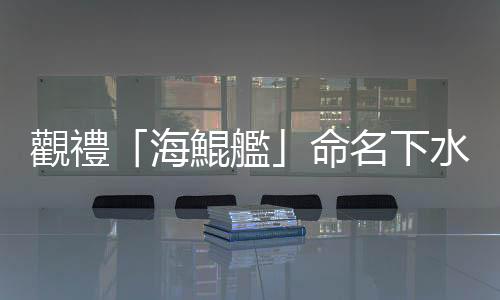 觀禮「海鯤艦」命名下水典禮 AIT孫曉雅：對臺承諾堅若磐石