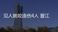 見人就咬連傷4人 晉江兩惡犬被擊斃