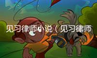 見習律師小說（見習律師）