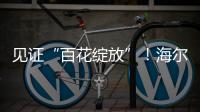 見證“百花綻放”！海爾首創(chuàng)“精華洗”洗衣機洗衣更快更干凈