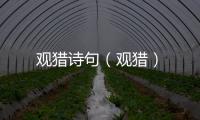 觀獵詩句（觀獵）
