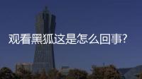 觀看黑狐這是怎么回事?