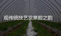 觀傳統技藝賞泉腔之韻 泉州非遺館讓非遺活態化