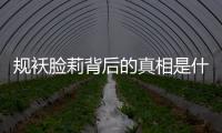 規(guī)襖臉莉背后的真相是什么?