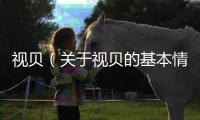 視貝（關于視貝的基本情況說明介紹）