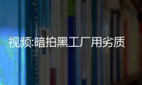 視頻:暗拍黑工廠用劣質化學劑打造世界名牌家具