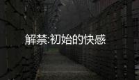 解禁:初始的快感