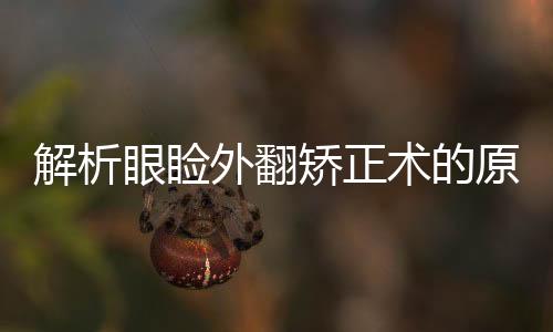 解析眼瞼外翻矯正術的原理及方法